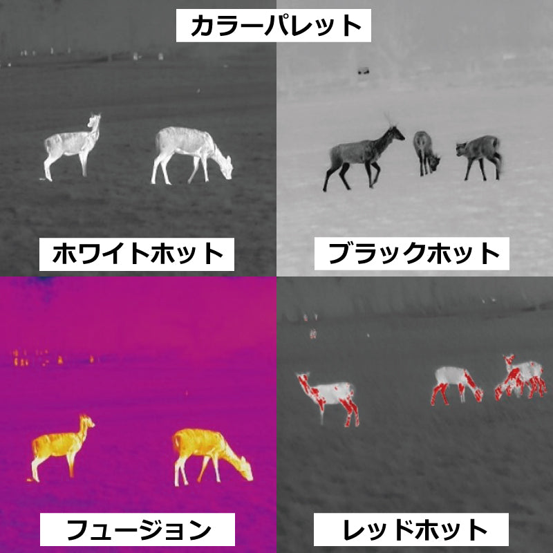 HIKMICRO LYNX LC06 HIKMICRO LYNX熱感單筒紅外線夜視熱像儀熱像儀單筒