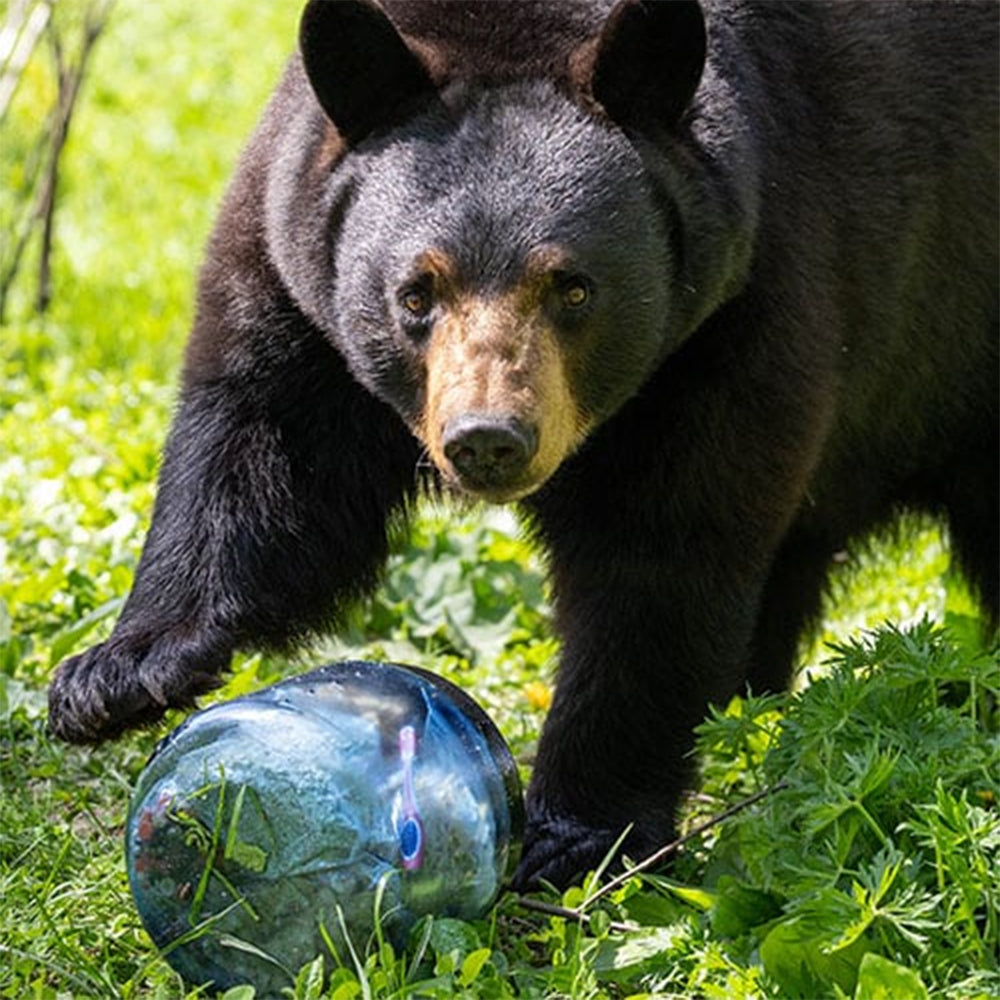 Bear Vault Jaunt 7.2L 940g BV-450 Bear Vault Jaunt Bear Canister