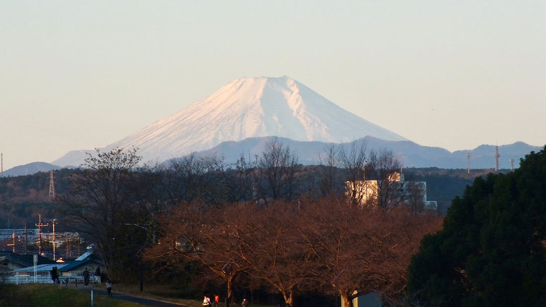 新しい一年を共に　2025