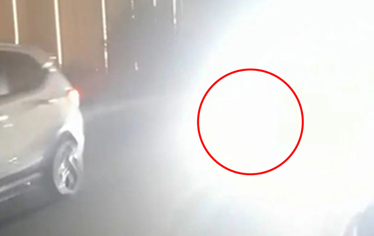 Thermal Master NV300 MAX｜600ヤード暗視対応 衝突防止サーマルカメラ【WDR補正・ADAS・3-in-1】