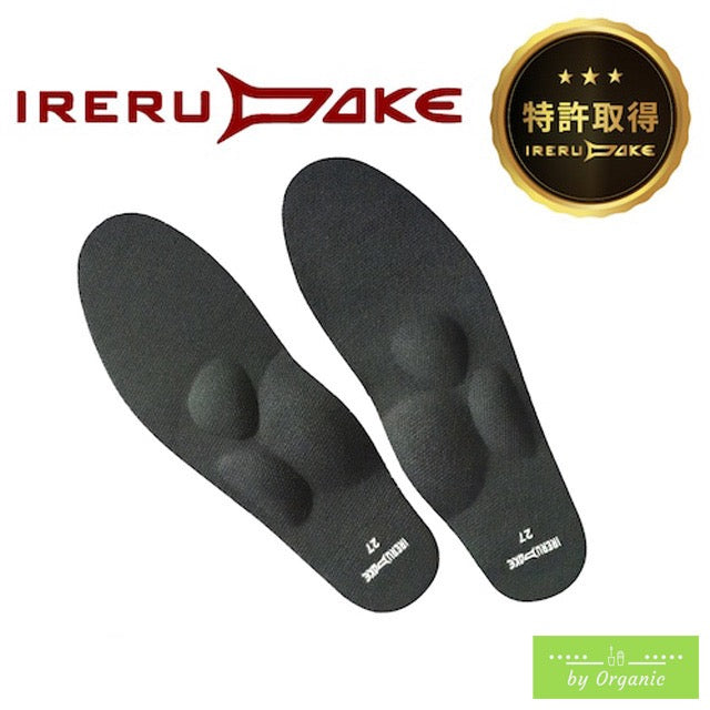 IRERUDAKE インソール 二足セット｜特許技術RiCAMで姿勢矯正＆足の痛みケア｜21〜29cm 男女兼用