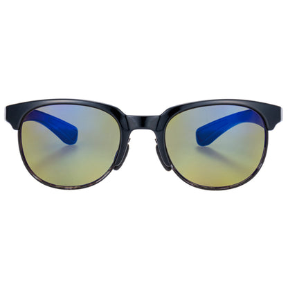 SWANS ER2 Oval Type Sunglasses SWANS ER2 ER2-0168 BK