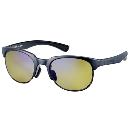 SWANS ER2 Oval Type Sunglasses SWANS ER2 ER2-0168 BK