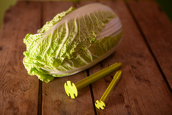SwissPiranha（スイスピラニア）GreenShark（グリーンシャーク）GSシリーズ 植物由来バイオプラスチック 超軽量テントペグ